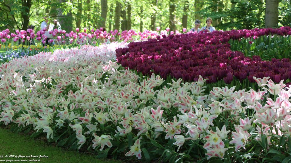 Keukenhof in Lisse Niederlande -Nordsee