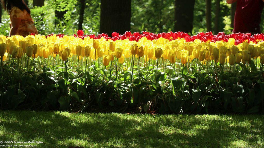 Keukenhof in Lisse Niederlande -Nordsee