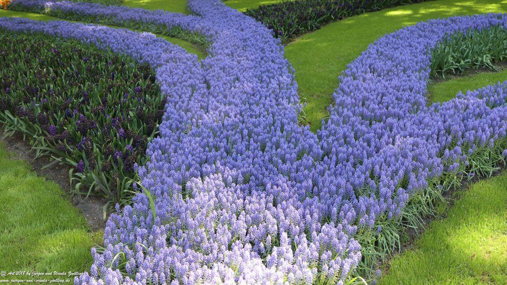 Keukenhof in Lisse Niederlande -Nordsee