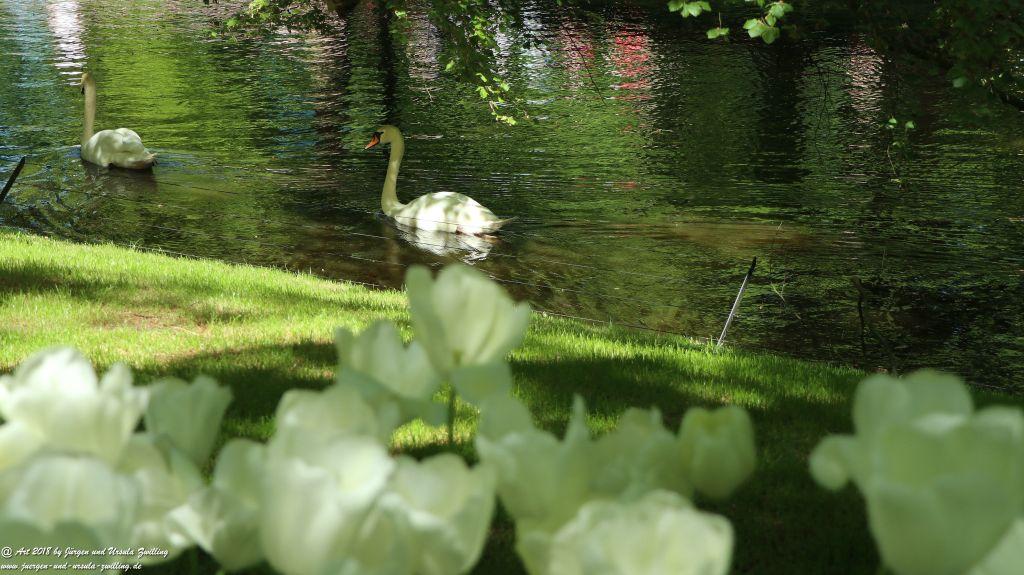 Keukenhof in Lisse Niederlande -Nordsee