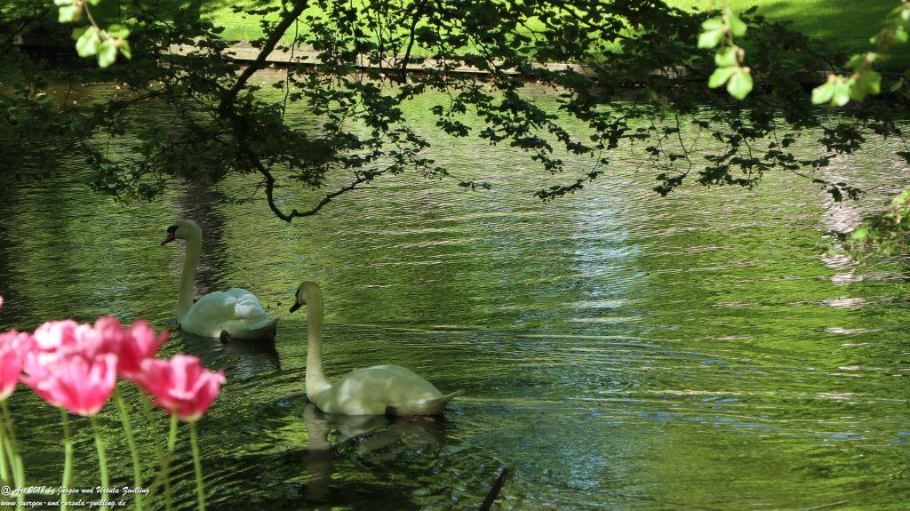 Keukenhof in Lisse Niederlande -Nordsee