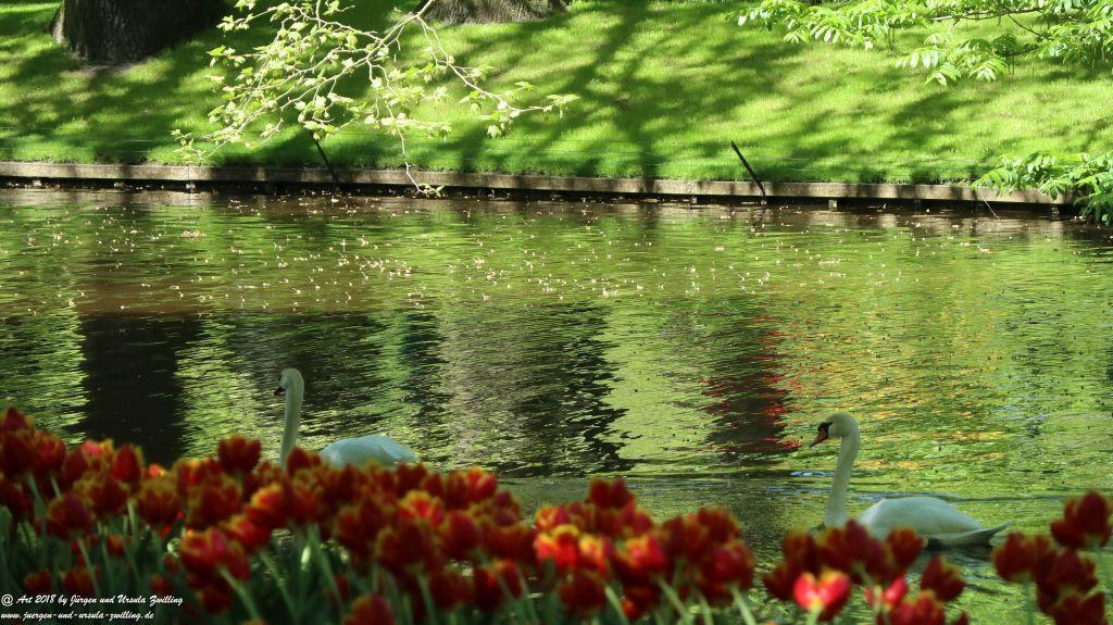 Keukenhof in Lisse Niederlande -Nordsee