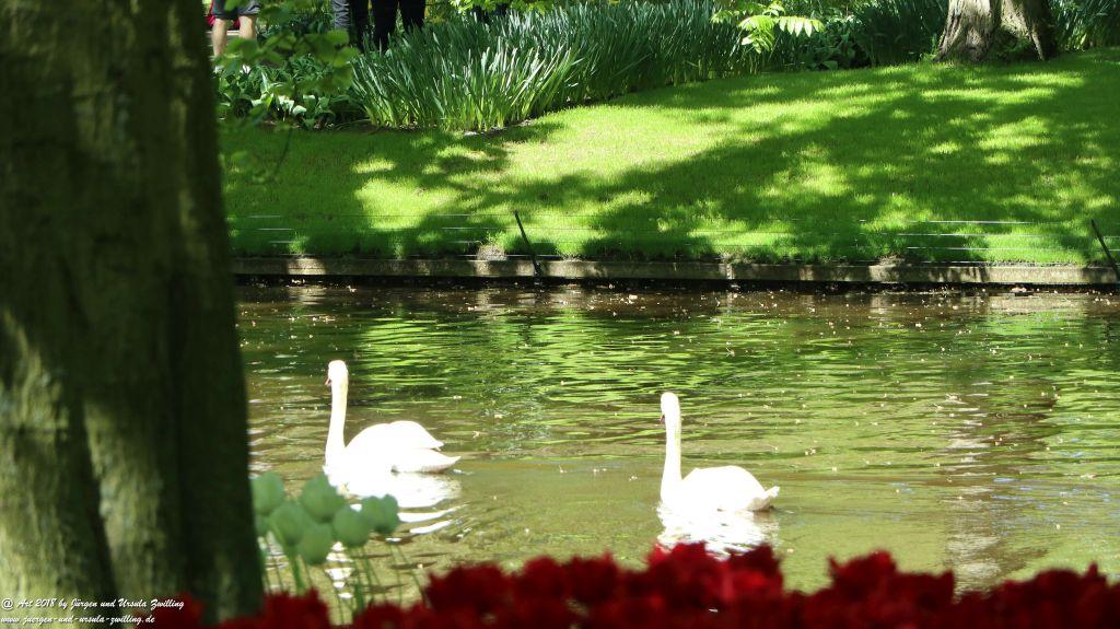 Keukenhof in Lisse Niederlande -Nordsee