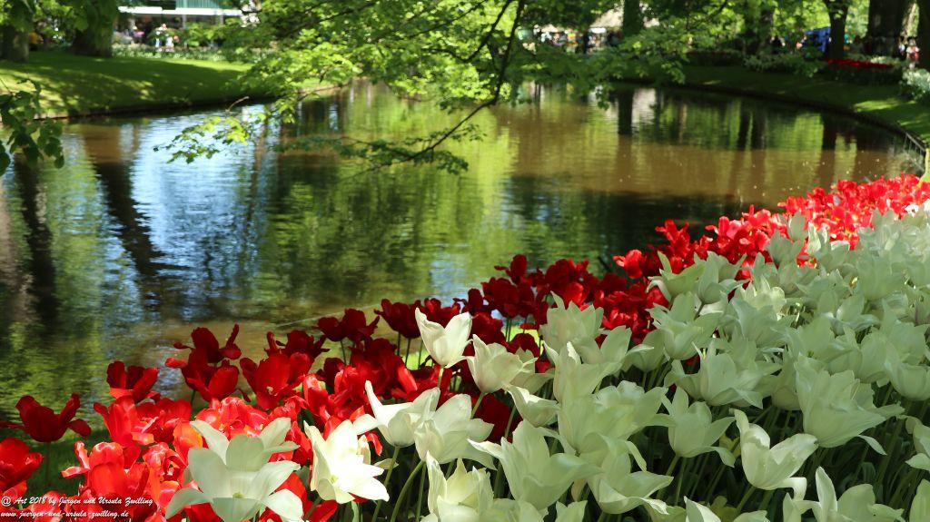 Keukenhof in Lisse Niederlande -Nordsee