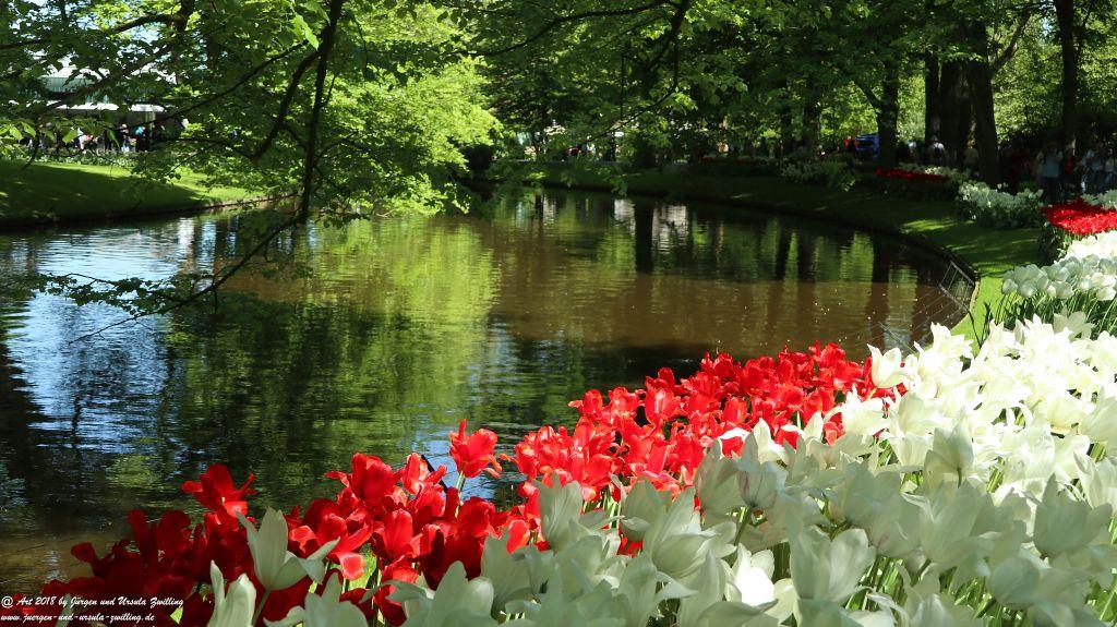 Keukenhof in Lisse Niederlande -Nordsee