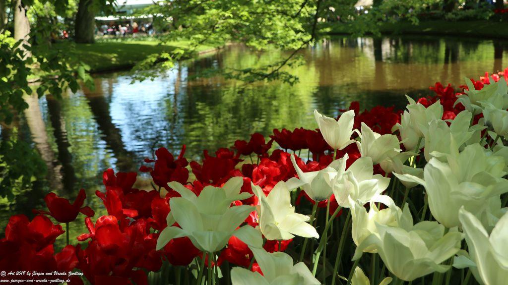 Keukenhof in Lisse Niederlande -Nordsee