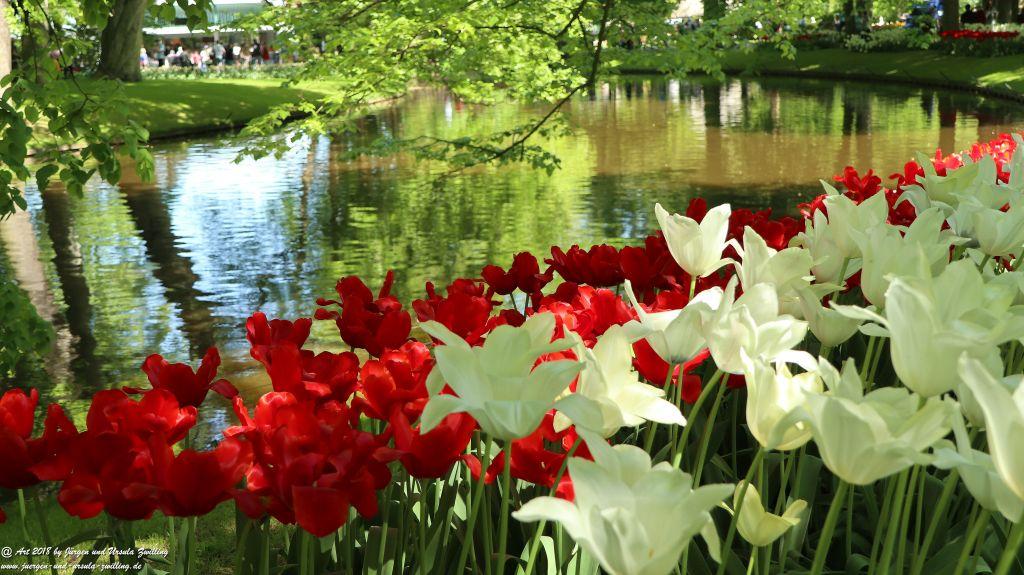 Keukenhof in Lisse Niederlande -Nordsee