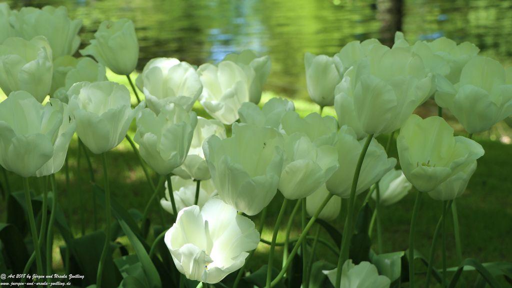 Keukenhof in Lisse Niederlande -Nordsee