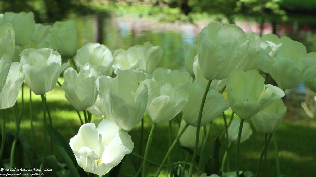Keukenhof in Lisse Niederlande -Nordsee