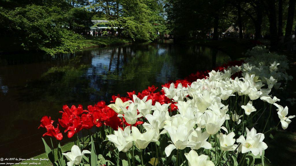 Keukenhof in Lisse Niederlande -Nordsee