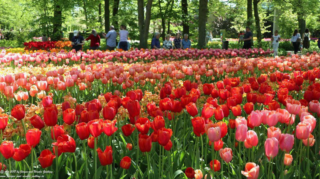 Keukenhof in Lisse Niederlande -Nordsee