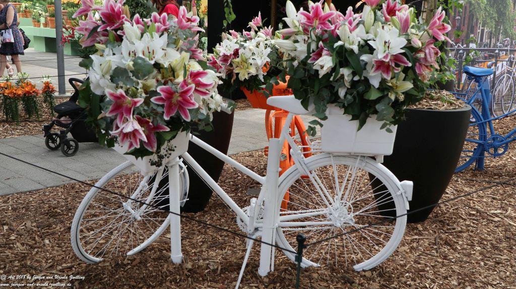 Keukenhof in Lisse Niederlande -Nordsee