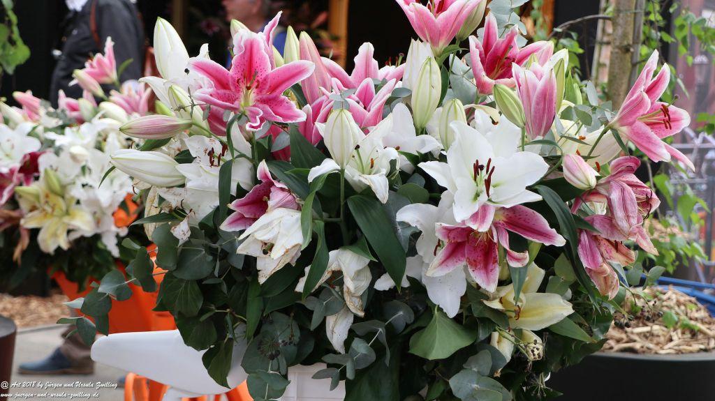 Keukenhof in Lisse Niederlande -Nordsee