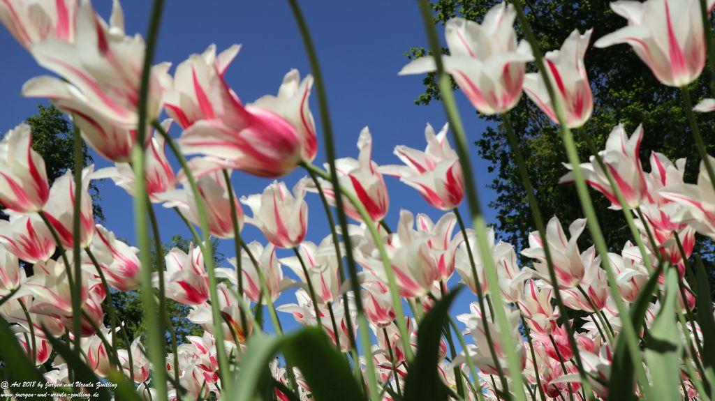 Keukenhof in Lisse Niederlande -Nordsee