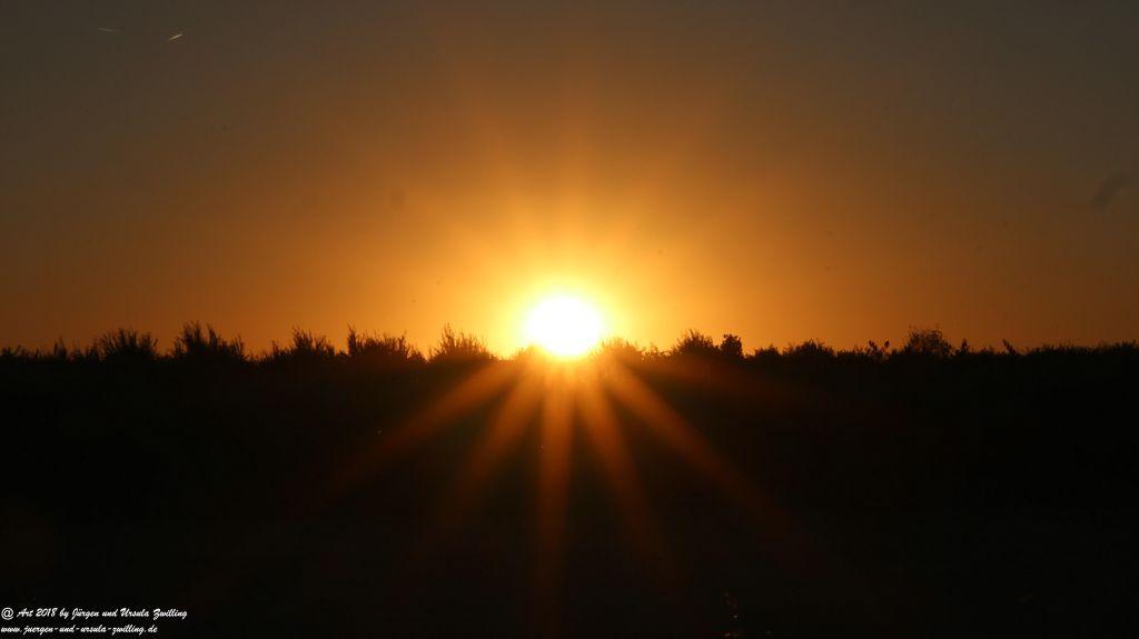 Sonnenuntergang in Rheinhessen - Mainz