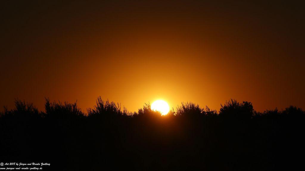 Sonnenuntergang in Rheinhessen - Mainz