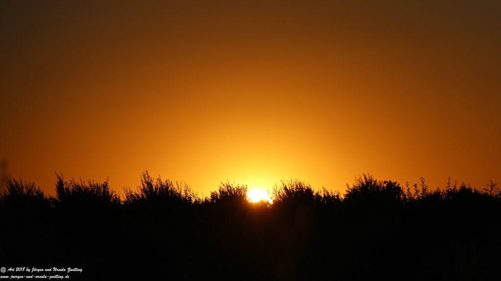 Sonnenuntergang in Rheinhessen - Mainz