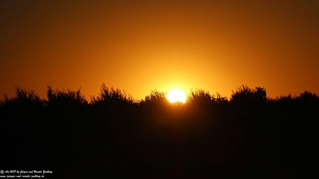 Sonnenuntergang in Rheinhessen - Mainz