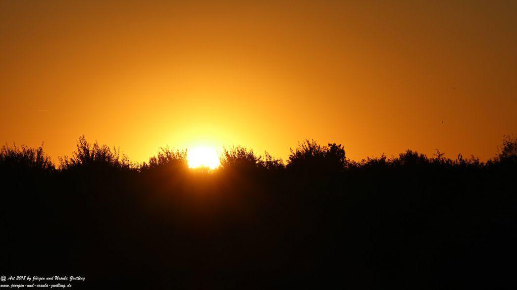 Sonnenuntergang in Rheinhessen - Mainz