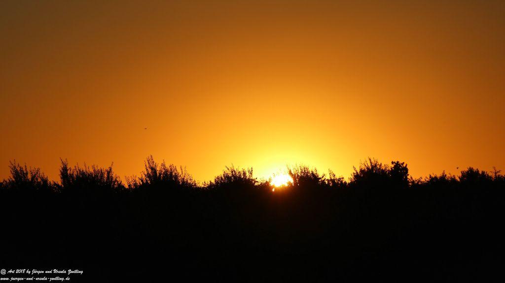 Sonnenuntergang in Rheinhessen - Mainz