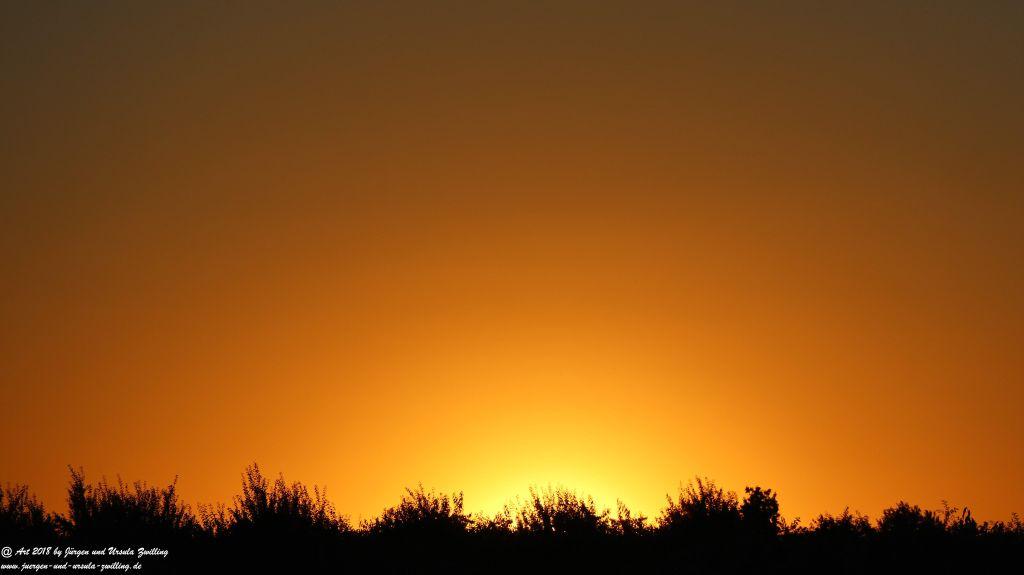 Sonnenuntergang in Rheinhessen - Mainz