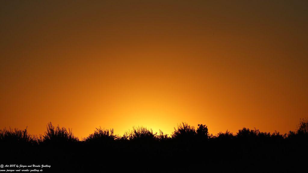 Sonnenuntergang in Rheinhessen - Mainz