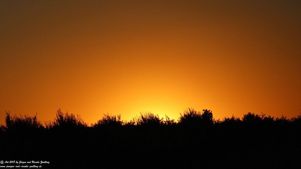 Sonnenuntergang in Rheinhessen - Mainz