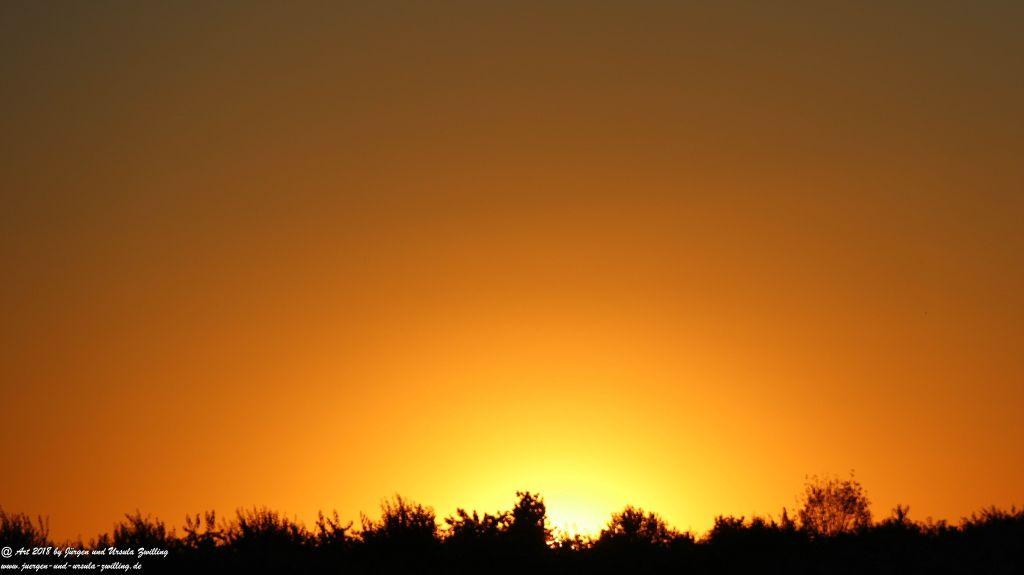 Sonnenuntergang in Rheinhessen - Mainz