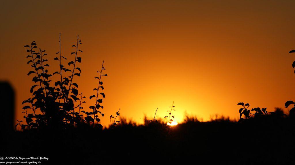 Sonnenuntergang in Rheinhessen - Mainz