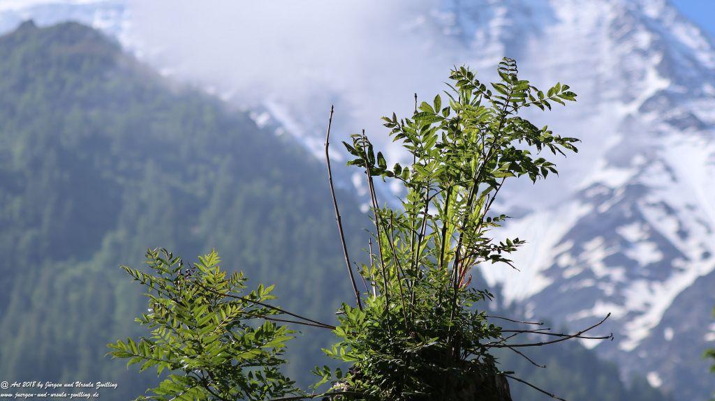 Philosophische Bildwanderung Les Bossons nach am Chamonix am Fuße des Mont Blanc und Aiguille du Midi - Frankfreich