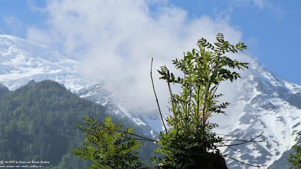 Philosophische Bildwanderung Les Bossons nach am Chamonix am Fuße des Mont Blanc und Aiguille du Midi - Frankfreich