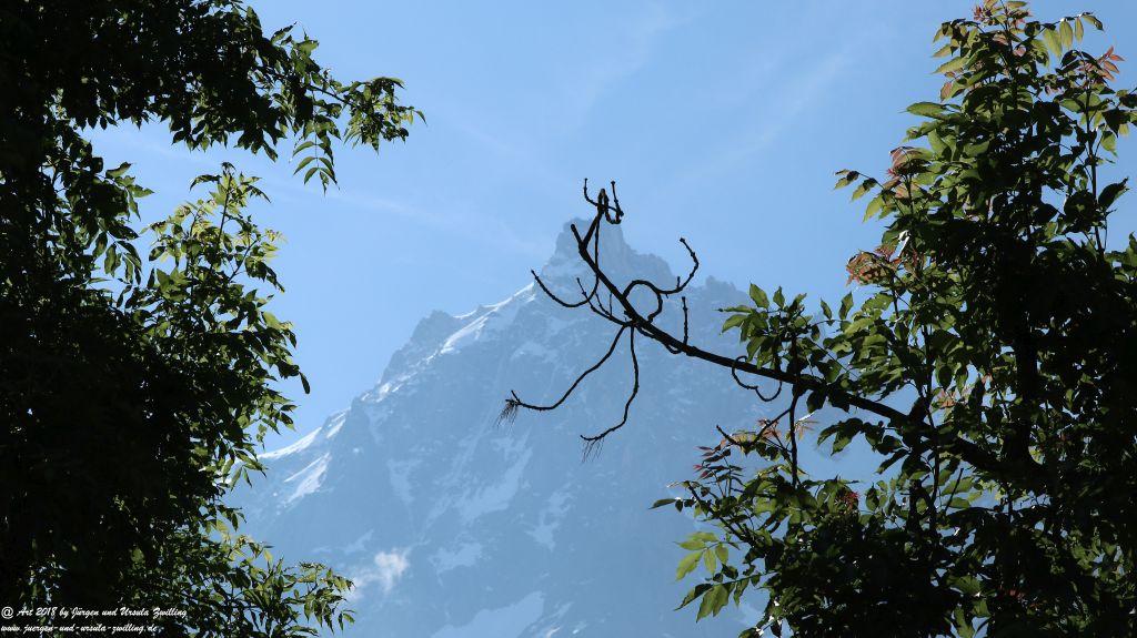 Philosophische Bildwanderung Les Bossons nach am Chamonix am Fuße des Mont Blanc und Aiguille du Midi - Frankfreich