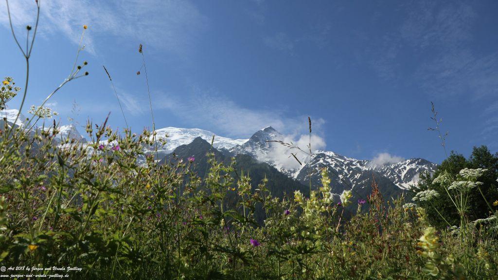 Philosophische Bildwanderung Les Bossons nach am Chamonix am Fuße des Mont Blanc und Aiguille du Midi - Frankfreich
