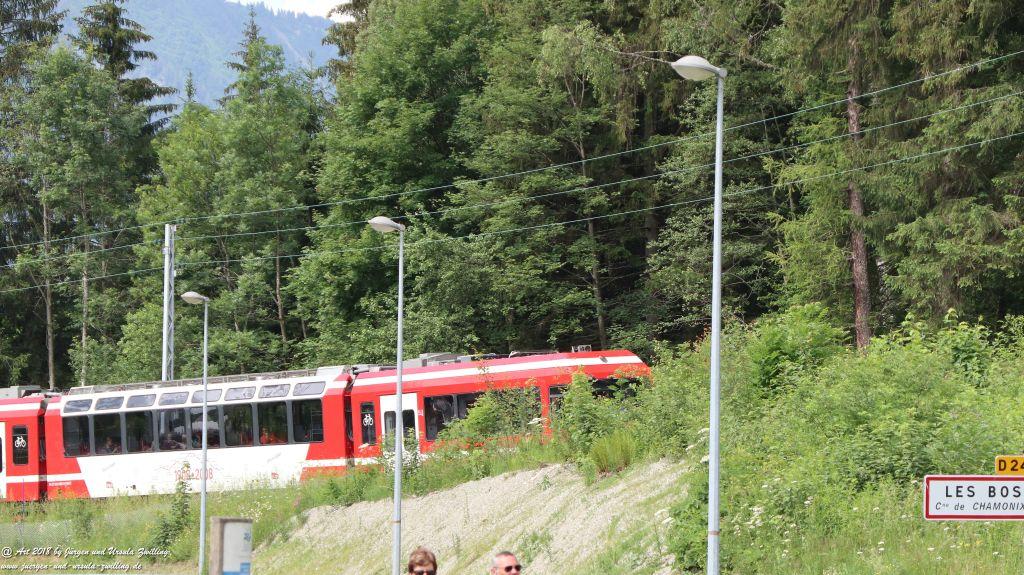 Philosophische Bildwanderung Les Bossons nach am Chamonix am Fuße des Mont Blanc und Aiguille du Midi - Frankfreich