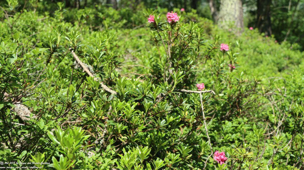 Philosophische Bildwanderung Wassserfall Bérard - Le Buet - Vallorcine Mont Blanc - Frankreich