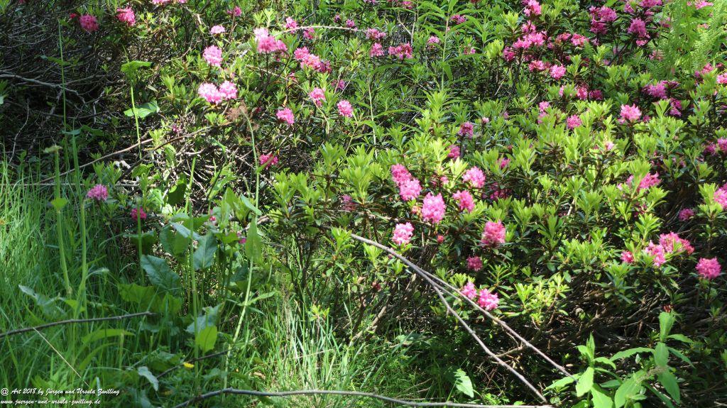 Philosophische Bildwanderung Wassserfall Bérard - Le Buet - Vallorcine Mont Blanc - Frankreich