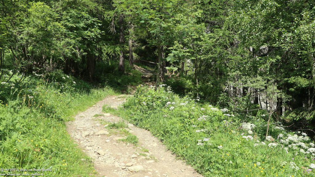 Philosophische Bildwanderung Wassserfall Bérard - Le Buet - Vallorcine Mont Blanc - Frankreich
