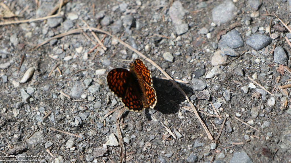 Philosophische Bildwanderung Wassserfall Bérard - Le Buet - Vallorcine Mont Blanc - Frankreich