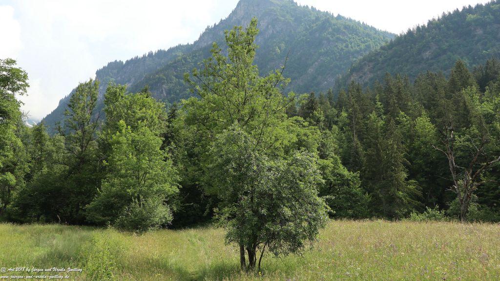 Philosophische Bildwanderung Gorges de la Diosaz -Wasserfall - Servoz Mont-Blanc - Frankreich