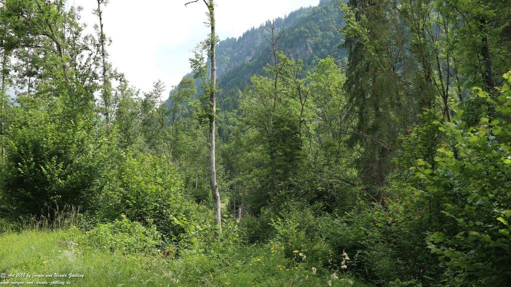 Philosophische Bildwanderung Gorges de la Diosaz -Wasserfall - Servoz Mont-Blanc - Frankreich