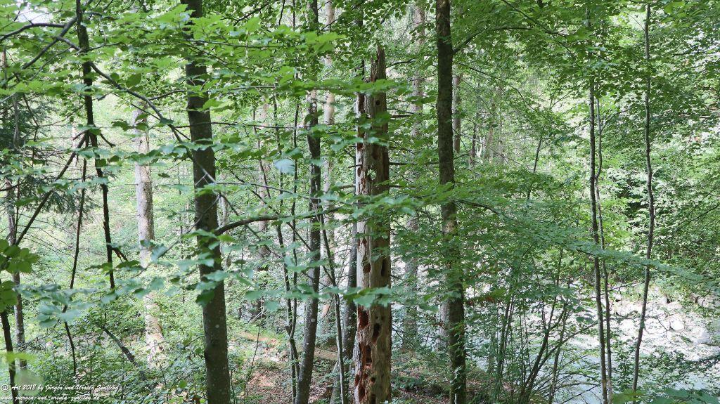 Philosophische Bildwanderung Gorges de la Diosaz -Wasserfall - Servoz Mont-Blanc - Frankreich