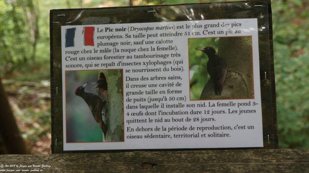 Philosophische Bildwanderung Gorges de la Diosaz -Wasserfall - Servoz Mont-Blanc - Frankreich
