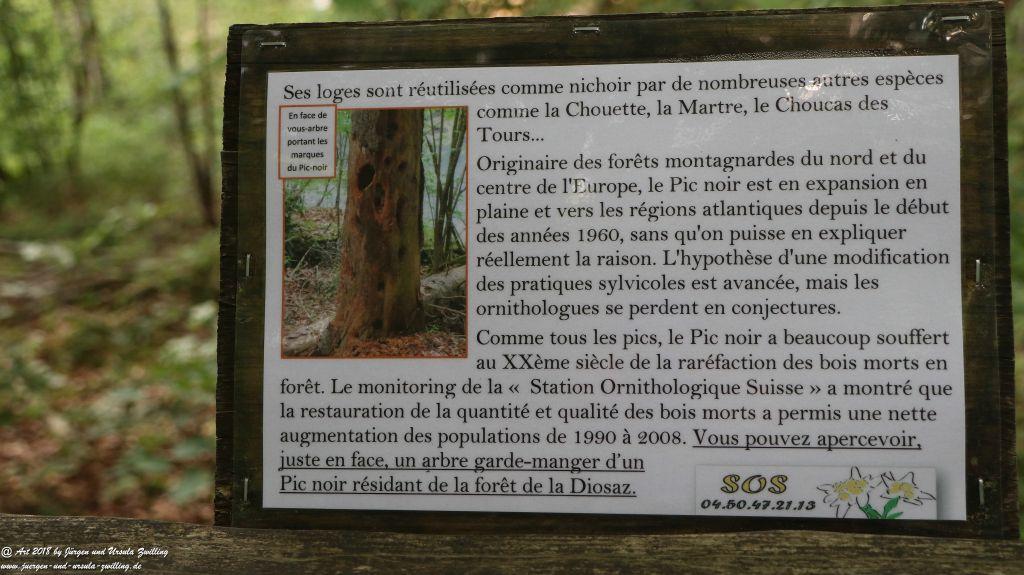 Philosophische Bildwanderung Gorges de la Diosaz -Wasserfall - Servoz Mont-Blanc - Frankreich