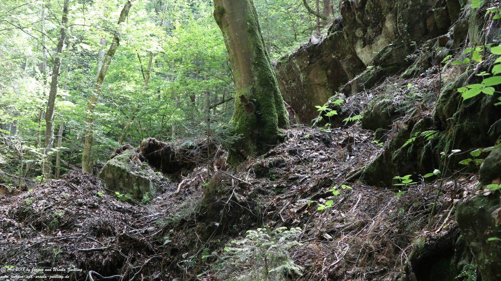 Philosophische Bildwanderung Gorges de la Diosaz -Wasserfall - Servoz Mont-Blanc - Frankreich