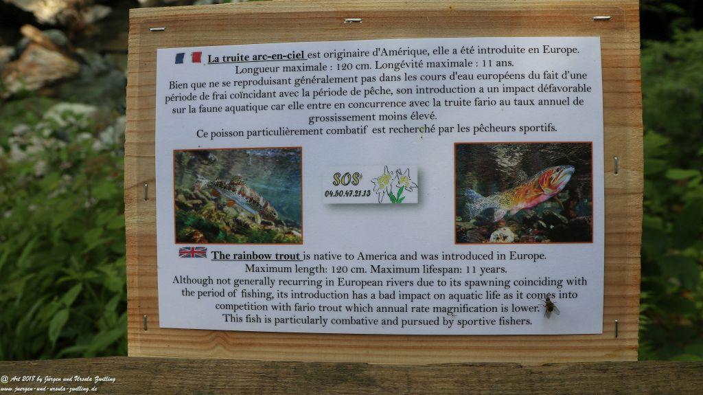 Philosophische Bildwanderung Gorges de la Diosaz -Wasserfall - Servoz Mont-Blanc - Frankreich