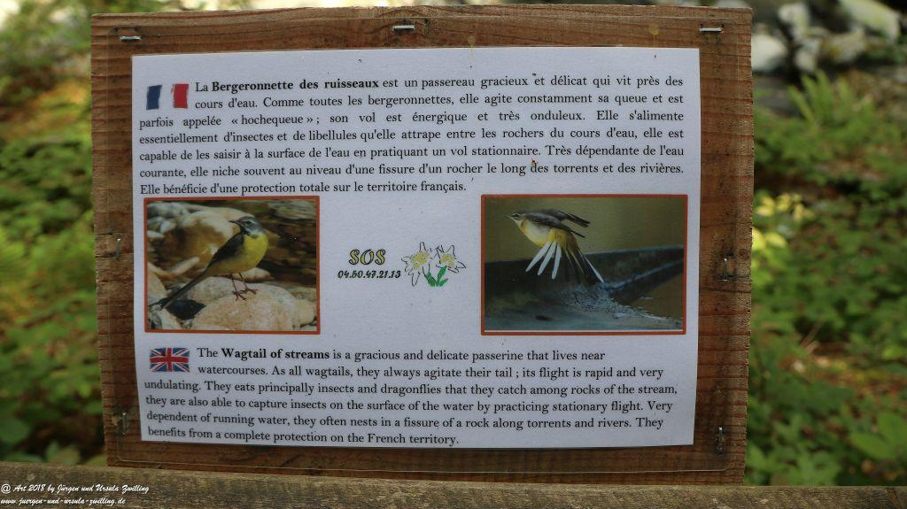 Philosophische Bildwanderung Gorges de la Diosaz -Wasserfall - Servoz Mont-Blanc - Frankreich