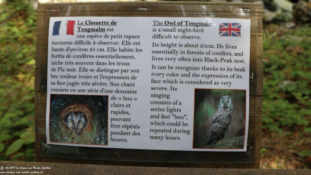 Philosophische Bildwanderung Gorges de la Diosaz -Wasserfall - Servoz Mont-Blanc - Frankreich