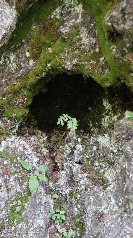 Philosophische Bildwanderung Gorges de la Diosaz -Wasserfall - Servoz Mont-Blanc - Frankreich