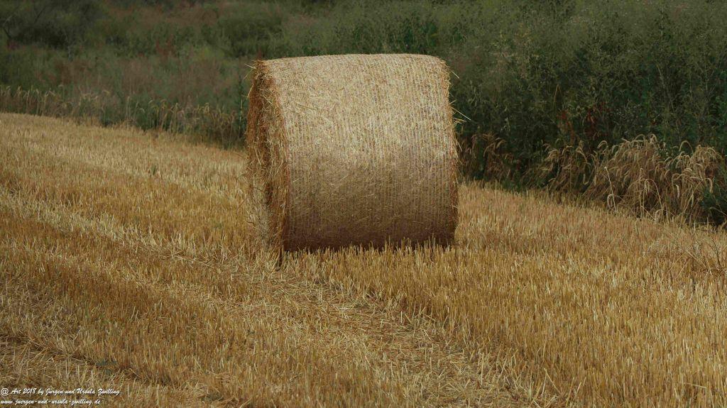 Felder nach der Ernte - Rheinhessen - Mainz