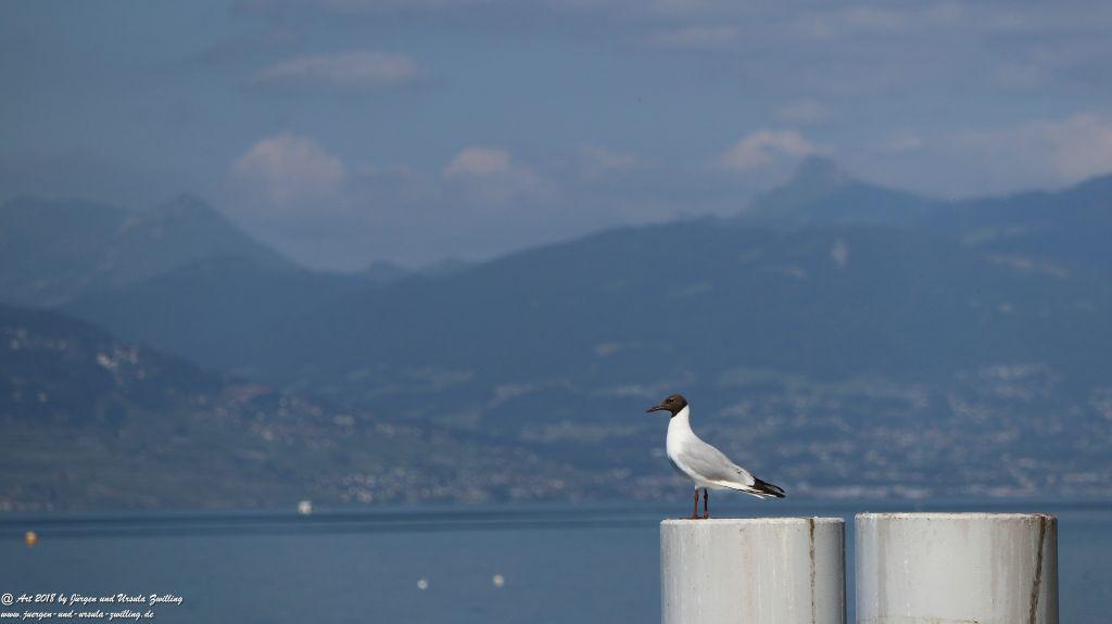 Évian-les-Bains - Genfer See - Lac Léman - Frankreich